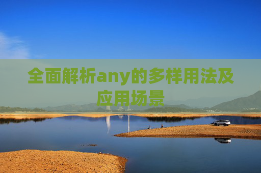 全面解析any的多样用法及应用场景