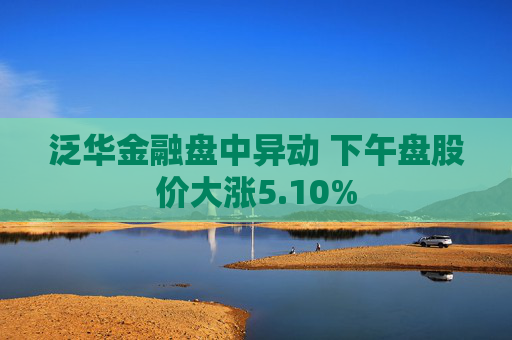 泛华金融盘中异动 下午盘股价大涨5.10%