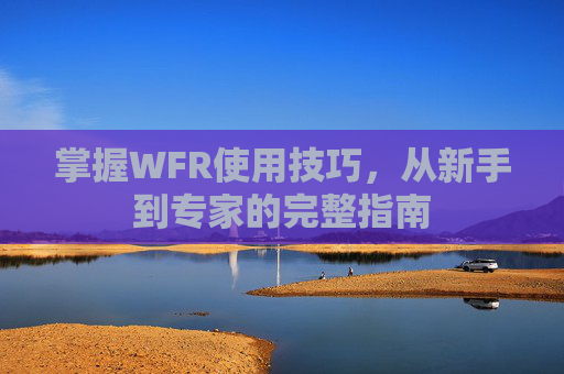 掌握WFR使用技巧，从新手到专家的完整指南