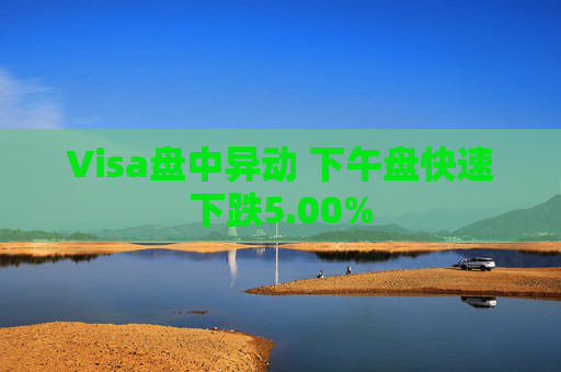 Visa盘中异动 下午盘快速下跌5.00%