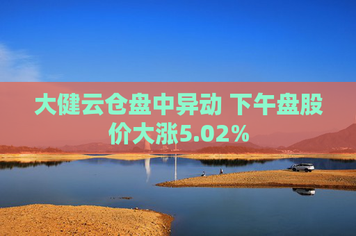 大健云仓盘中异动 下午盘股价大涨5.02%