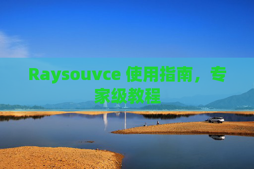 Raysouvce 使用指南，专家级教程