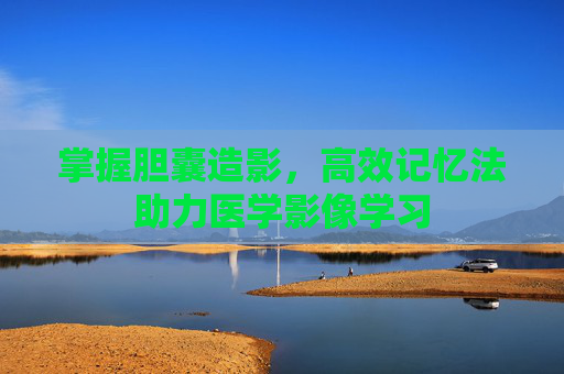 掌握胆囊造影，高效记忆法助力医学影像学习