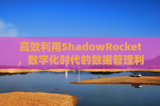 高效利用ShadowRocket，数字化时代的数据管理利器