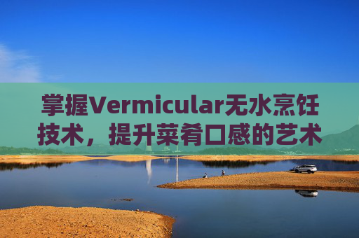 掌握Vermicular无水烹饪技术，提升菜肴口感的艺术