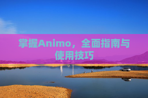 掌握Animo，全面指南与使用技巧