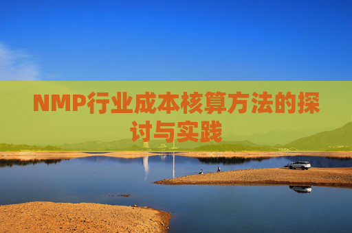 NMP行业成本核算方法的探讨与实践