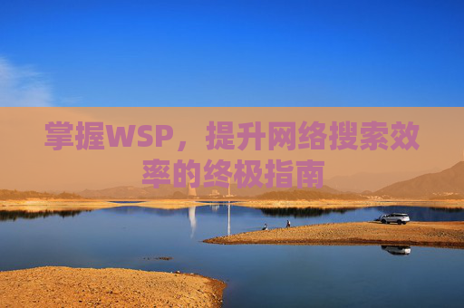 掌握WSP，提升网络搜索效率的终极指南