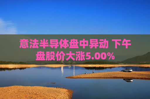 意法半导体盘中异动 下午盘股价大涨5.00%