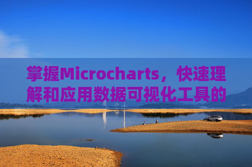 掌握Microcharts，快速理解和应用数据可视化工具的指南