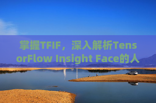 掌握TFIF，深入解析TensorFlow Insight Face的人脸识别技术