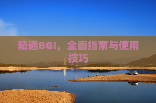 精通BGI，全面指南与使用技巧