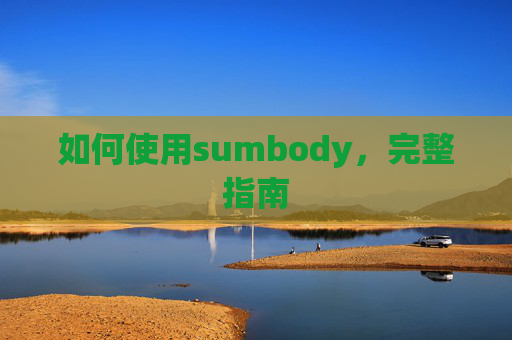 如何使用sumbody，完整指南