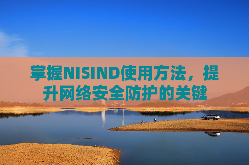 掌握NISIND使用方法，提升网络安全防护的关键