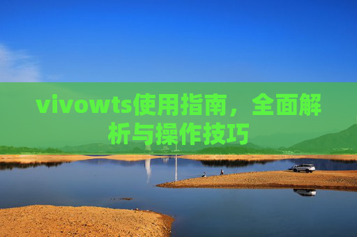 vivowts使用指南，全面解析与操作技巧