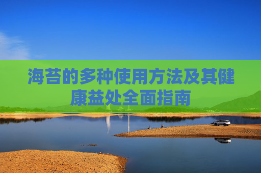 海苔的多种使用方法及其健康益处全面指南