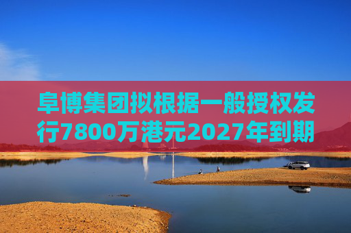 阜博集团拟根据一般授权发行7800万港元2027年到期的零息可换股债券