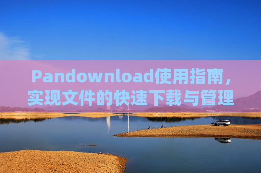 Pandownload使用指南，实现文件的快速下载与管理