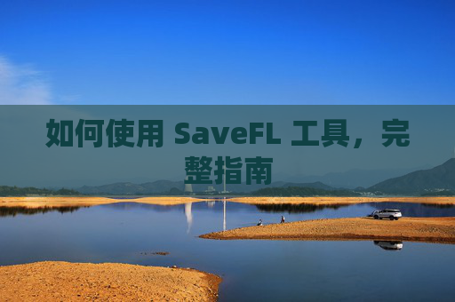 如何使用 SaveFL 工具，完整指南