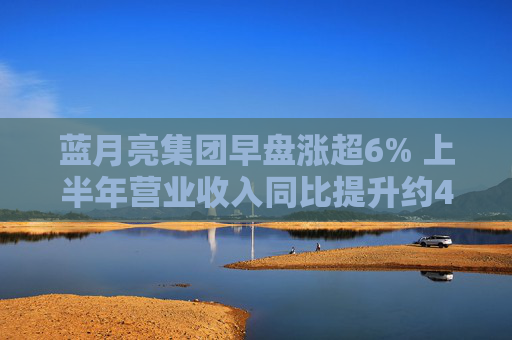 蓝月亮集团早盘涨超6% 上半年营业收入同比提升约40.9%