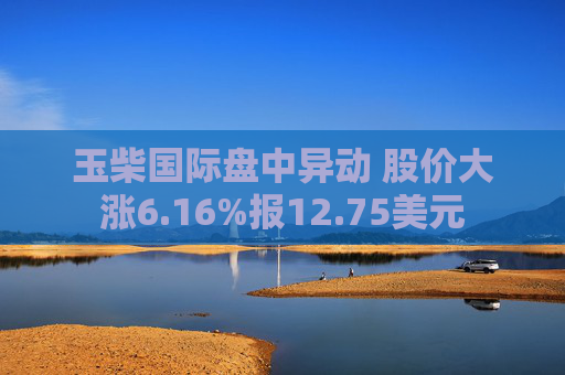 玉柴国际盘中异动 股价大涨6.16%报12.75美元