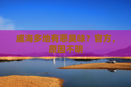 威海多地有恶臭味？官方，原因不明