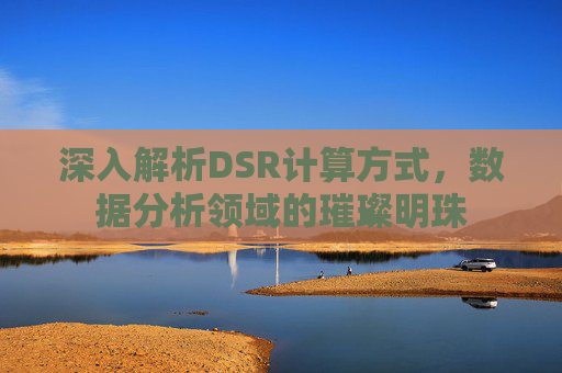 深入解析DSR计算方式，数据分析领域的璀璨明珠