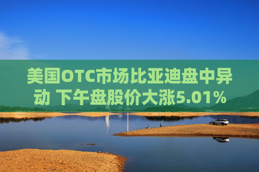 美国OTC市场比亚迪盘中异动 下午盘股价大涨5.01%