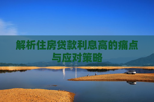 解析住房贷款利息高的痛点与应对策略