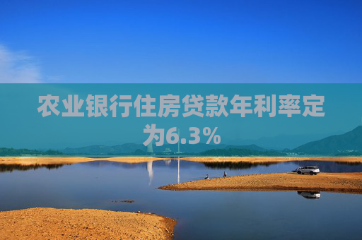 农业银行住房贷款年利率定为6.3%