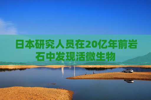 日本研究人员在20亿年前岩石中发现活微生物