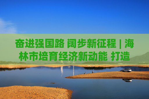 奋进强国路 阔步新征程 | 海林市培育经济新动能 打造发展新引擎