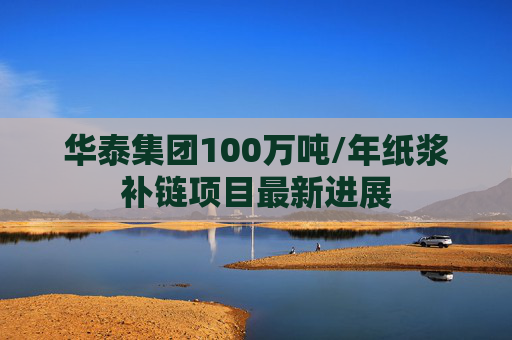 华泰集团100万吨/年纸浆补链项目最新进展