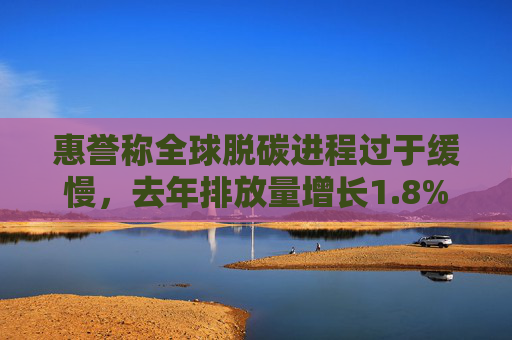 惠誉称全球脱碳进程过于缓慢，去年排放量增长1.8%