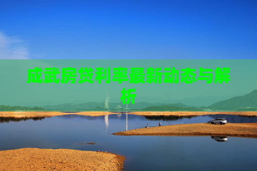 成武房贷利率最新动态与解析